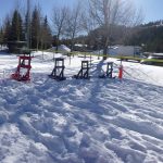 Winter Snowday PhotosP1020015