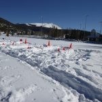 Winter Snowday PhotosP1020016
