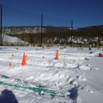 Winter Snowday PhotosP1020018