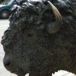 Buffalo Statue